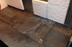 11070745_388561484682601_3158587926415618745_n